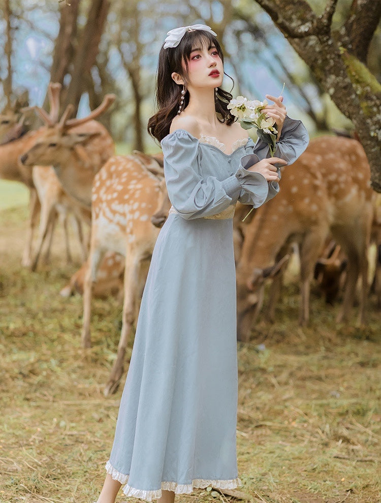 Adette Vintage-inspired Fairycore Princess Dress