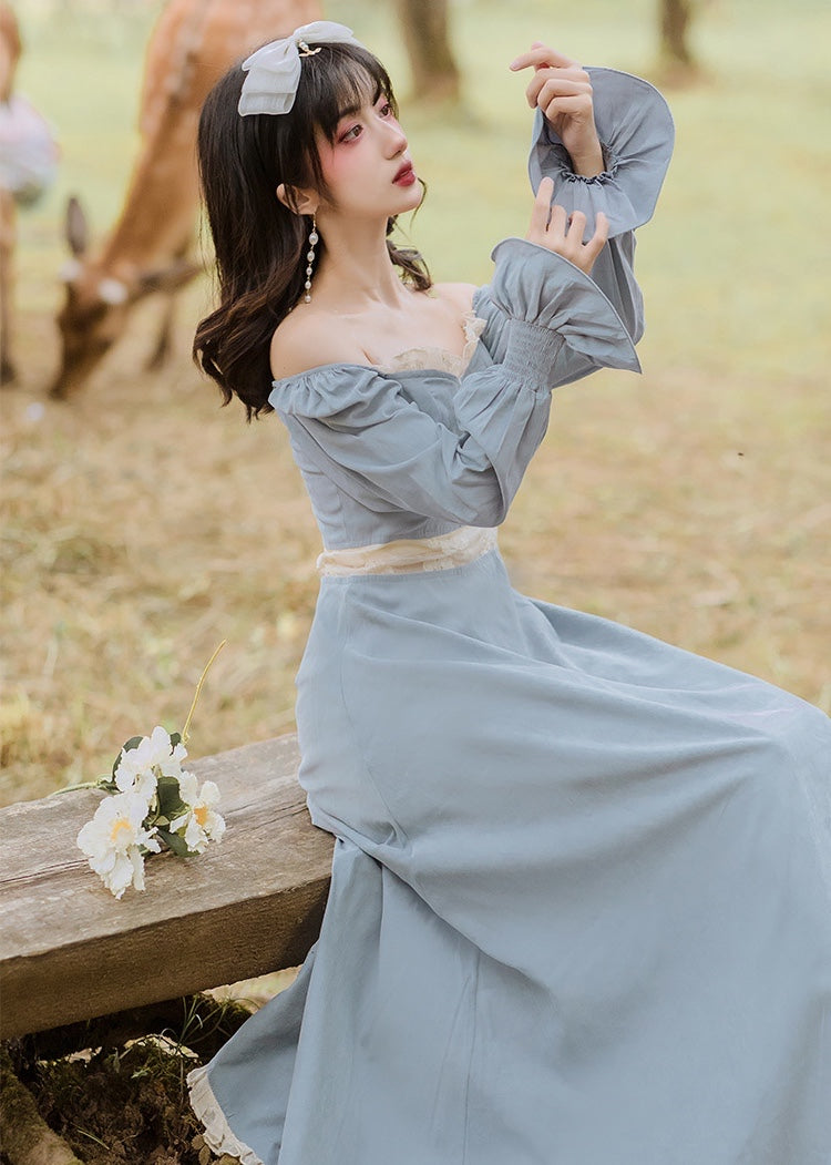 Adette Vintage-inspired Fairycore Princess Dress
