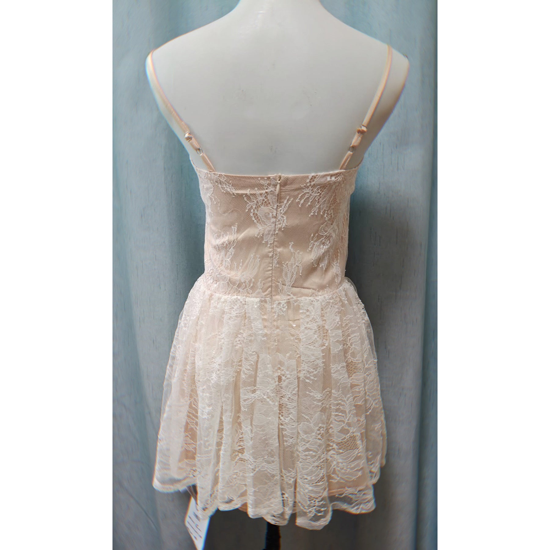 Pixie Kiss Balletcore Lace Mini Dress Coquette Princess Style