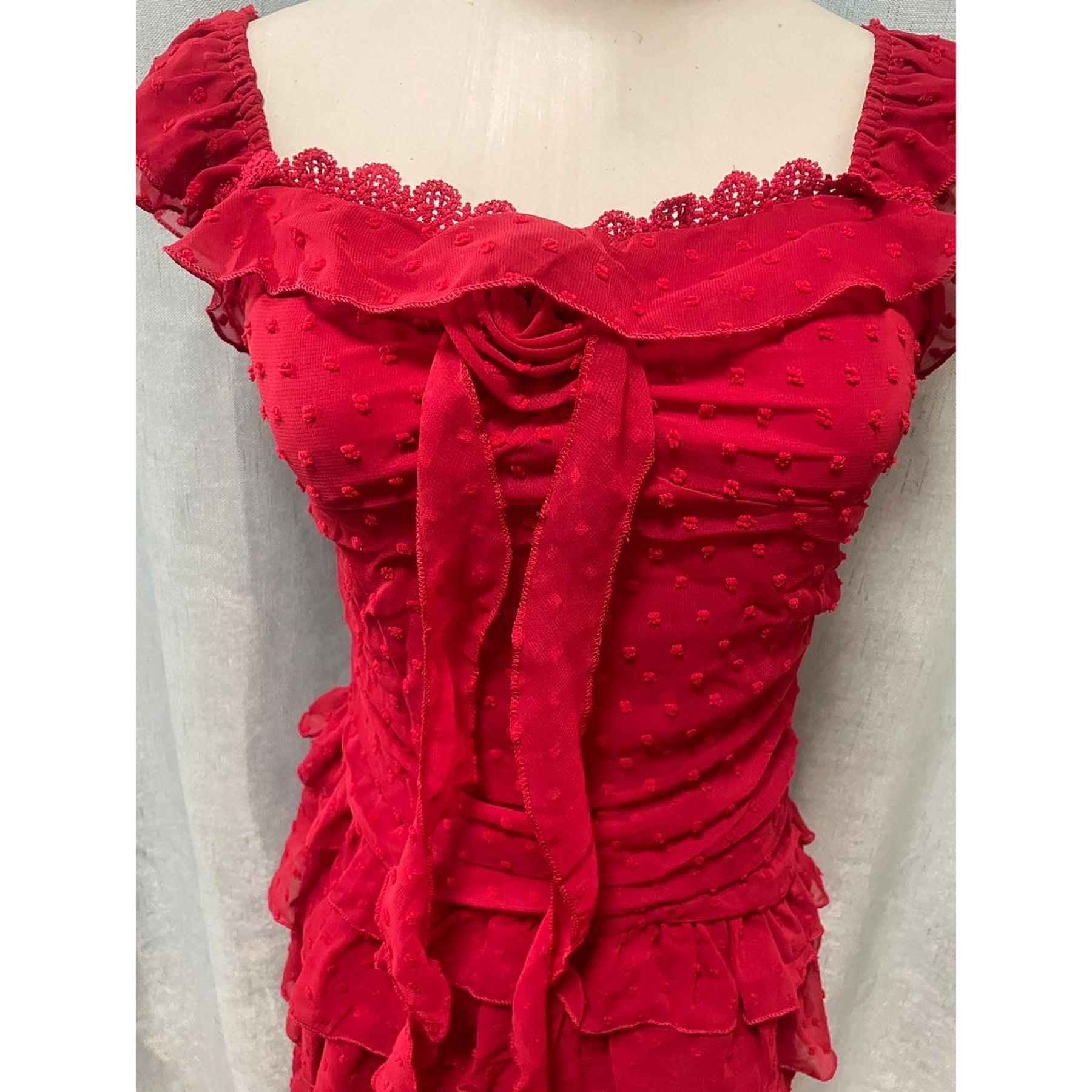 Garden Angel Red Coquette Dress