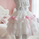 Rose Ribbon Coquette Lace Skirt