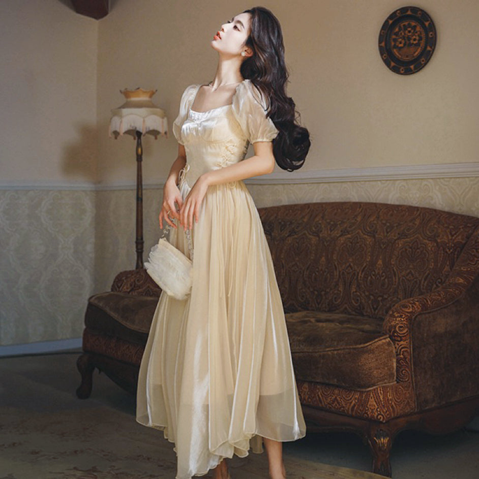 Elva Vintage Fairy Balletcore Princess Dress