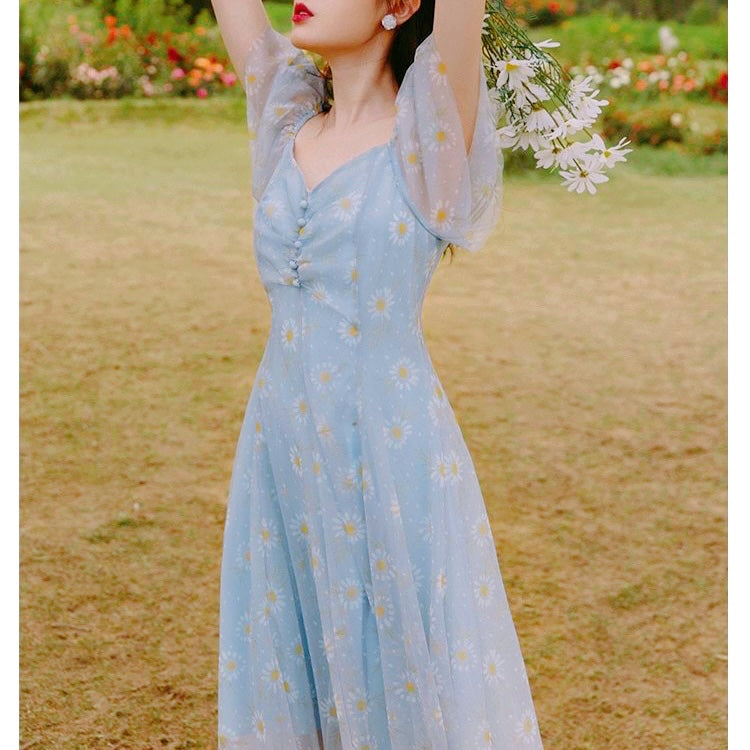 Daisy Moon Soft Girl Cottagecore Fairy Dress 