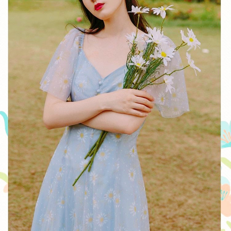 Daisy Moon Soft Girl Cottagecore Fairy Dress 