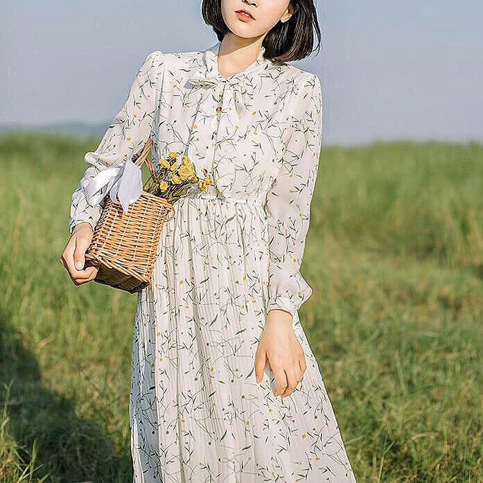 Fern Valley Cottagecore Mori Girl Soft Floral Chiffon Dress 