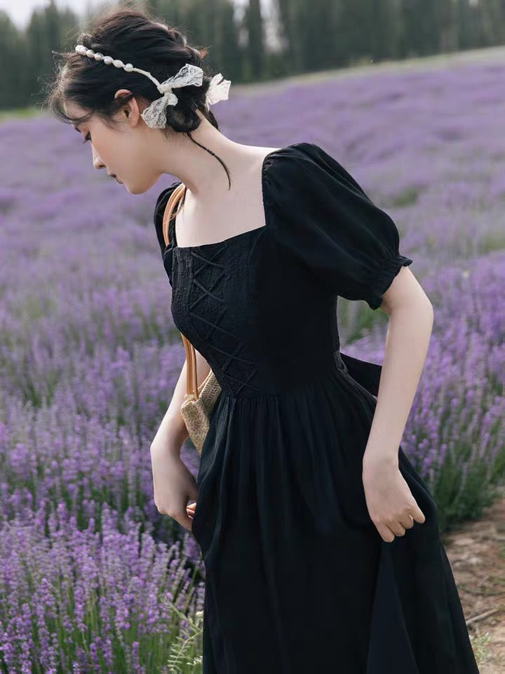 Isobel Witchy Academia Victorian Dark Fairy Dress 