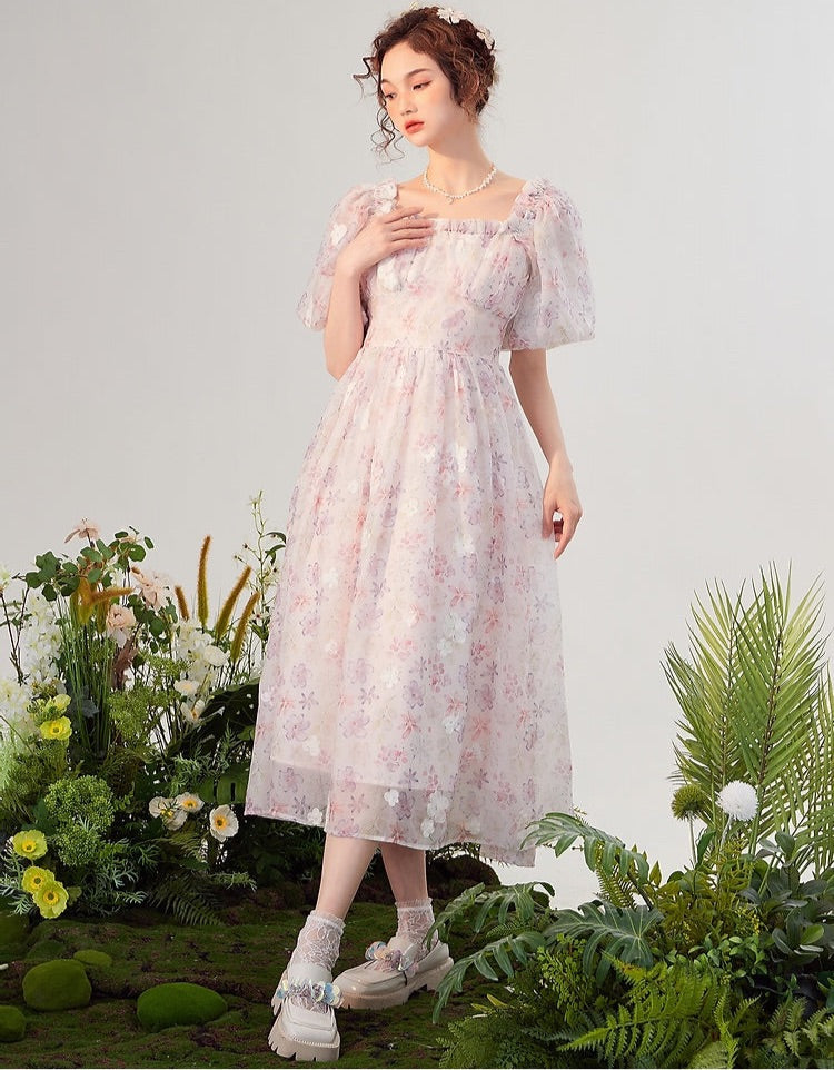 Paulina Fairycore Princess Dress 