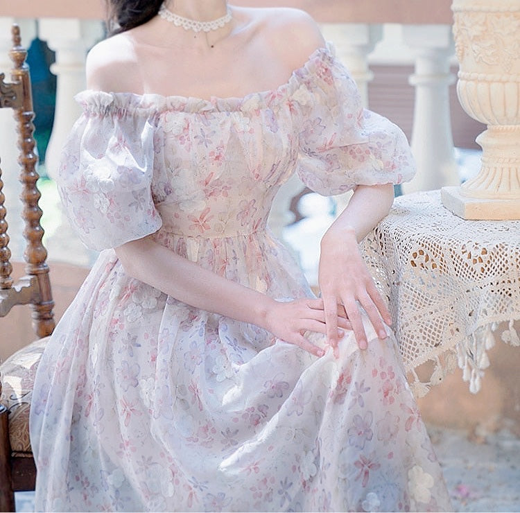 Paulina Fairycore Princess Dress 