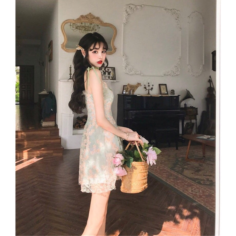 Spring Elfie Embroidered Cottagecore Mini Dress 